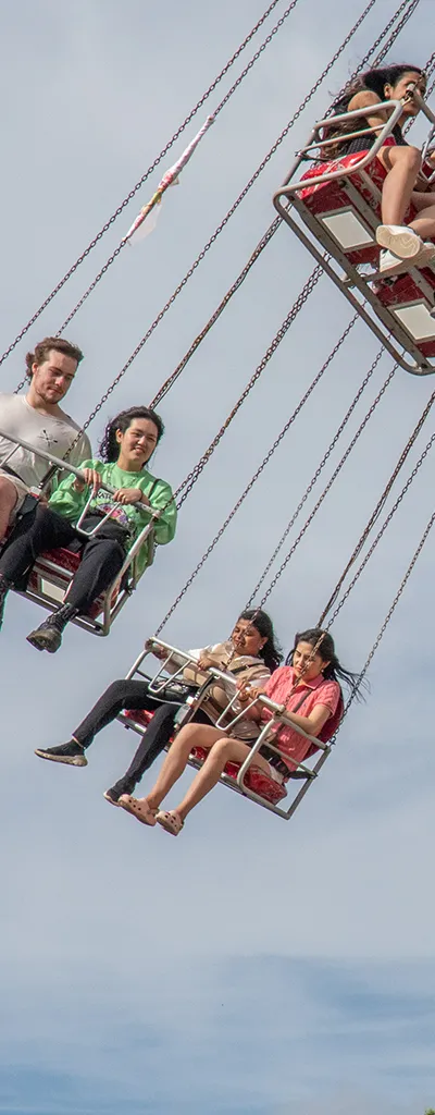 Rides and Stalls Image